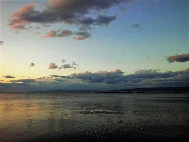 13084246_869105469882117_1177043635_n