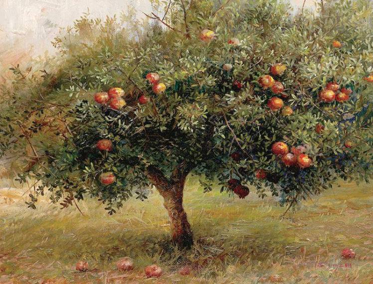 pomegranade-elidon-hoxha