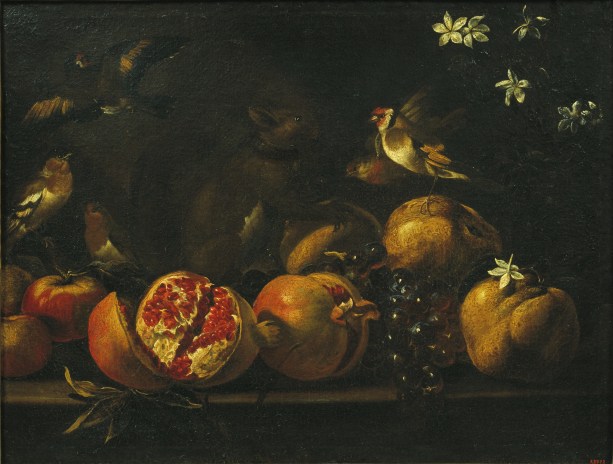 tommaso-realfonzo-masillo