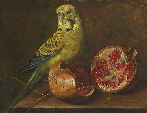 unknown-french-parakeet-and-pomegranate-19th-century