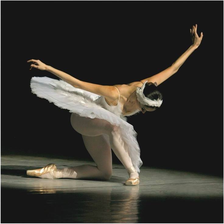 1208847_10151700988809005_636095069_n