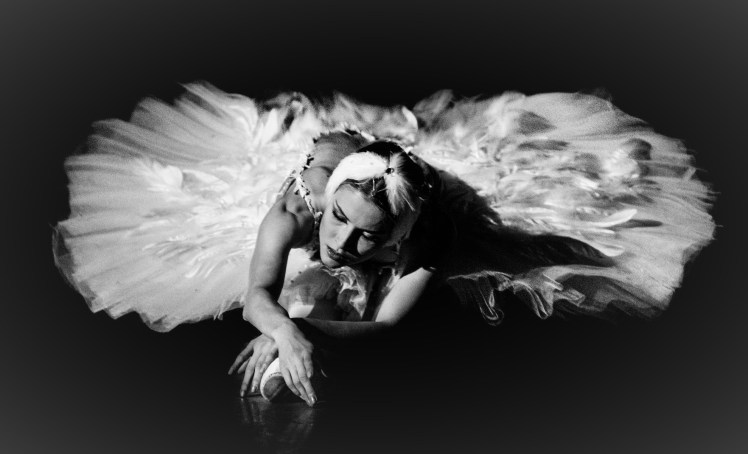 aaaa-alina-somova-in-dying-swan-mariinsky-theatre-3