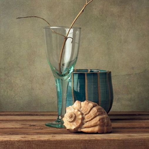 still-life-photography-by-anna-nemoy