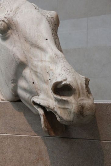 093464a308295062a31f7ea2afa0a91f